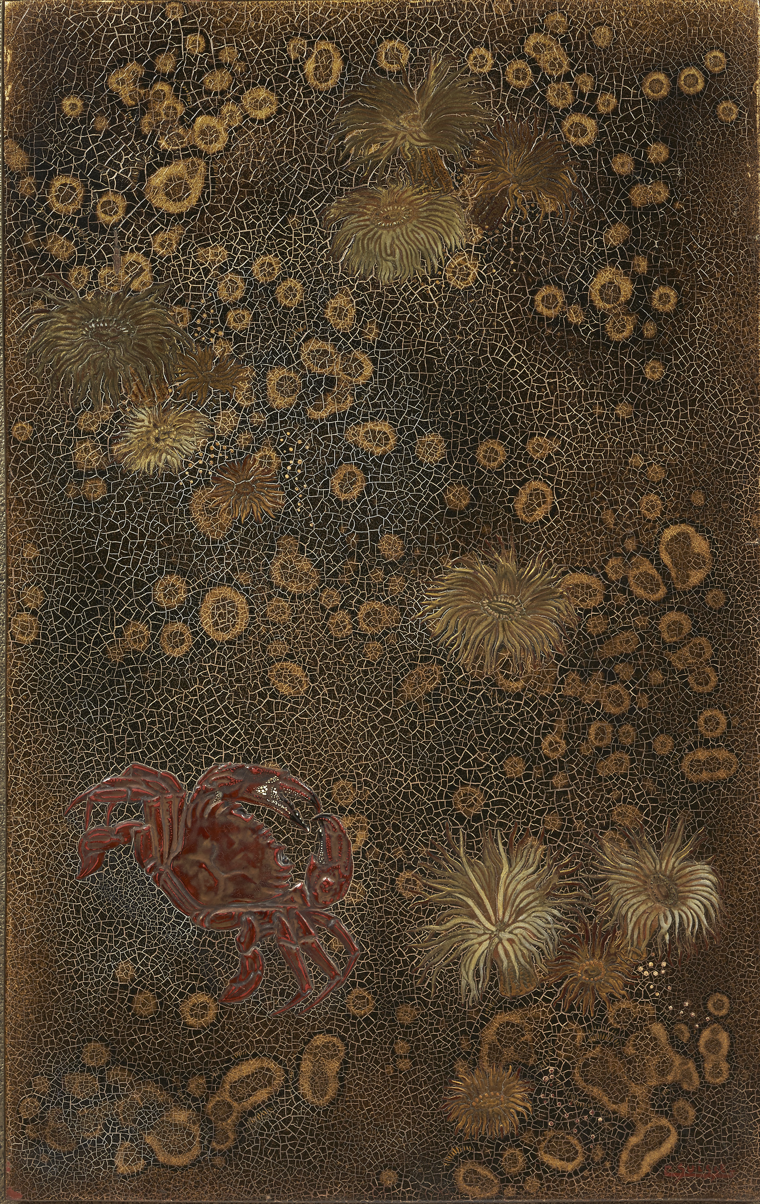 Étrille et anémones de mer,  vers 1923.